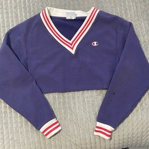 champion cropped sweater